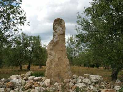 In localit� Bosco San Nicola, a Terlizzi, si pu� notare il menhir che ricorda il profilo di una donna
